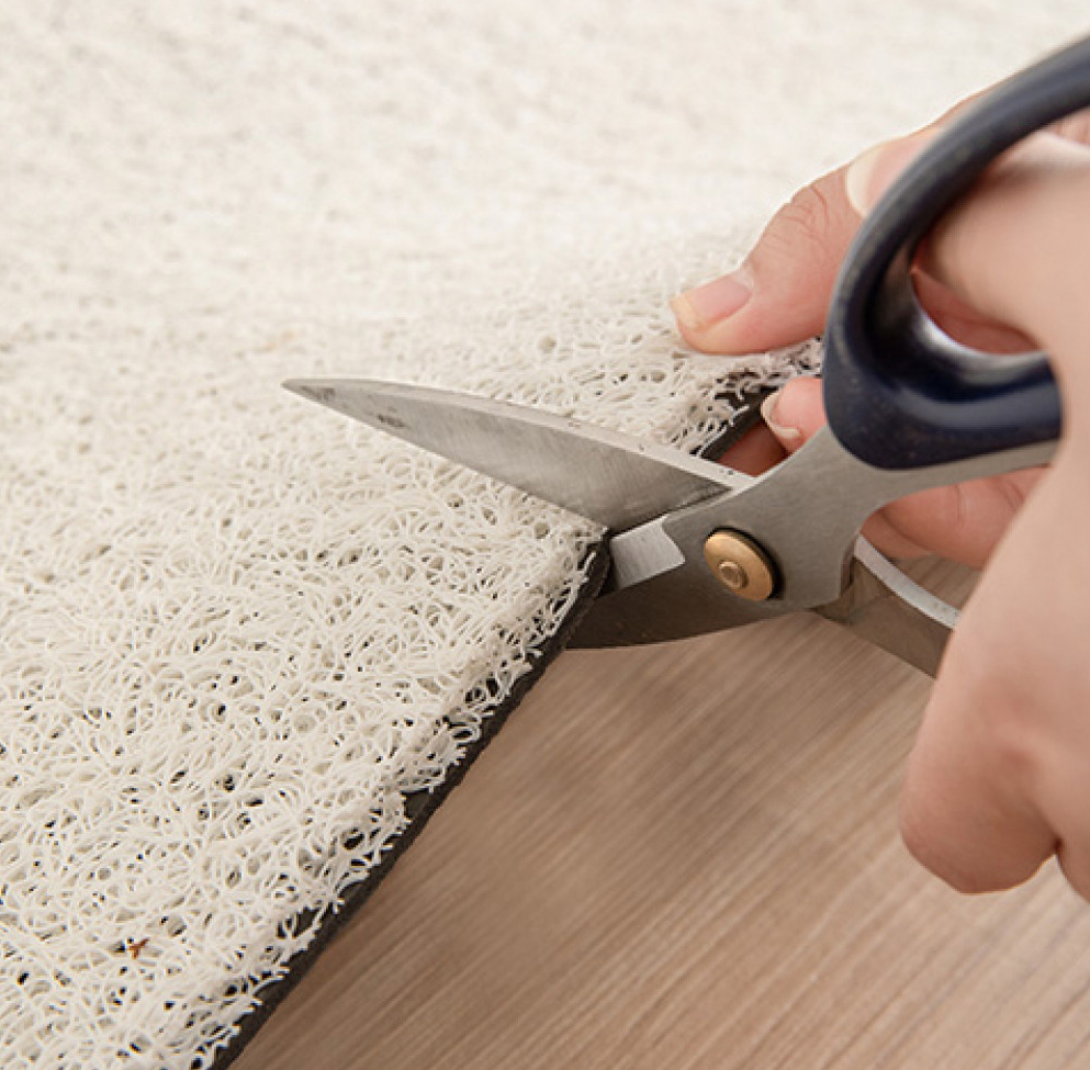 Schutzteppich, rutschfeste Matte für Eingangstüren „Zebra“