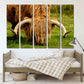 Bull Print Home Wand Dekor Schlafzimmer Tier Malerei Wildes Tier für Schlafzimmer Wohnzimmer Küche Wandkunst