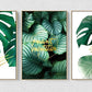 Dreiteilige Pflanzen-Wanddrucke im schwebenden Rahmen, modernes minimalistisches gerahmtes botanisches Kunstwerk, original grünes druckbares 3er-Set Leinwandbilder